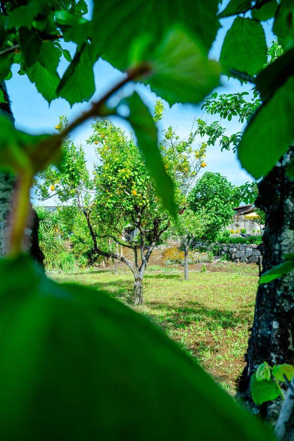 Vila Casa Da Guarda De Fora Paredes  Exteriér fotografie