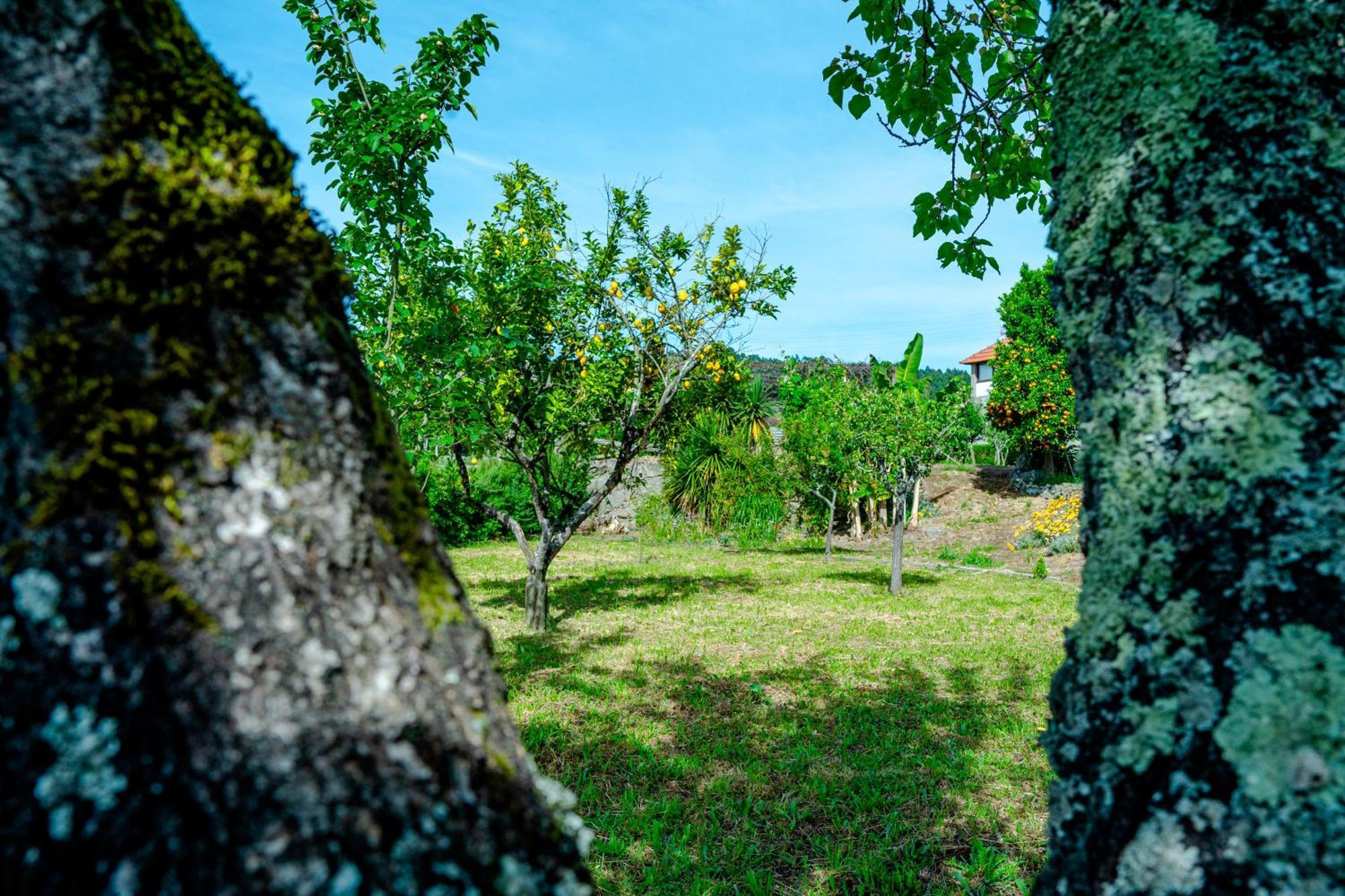 Vila Casa Da Guarda De Fora Paredes  Pokoj fotografie