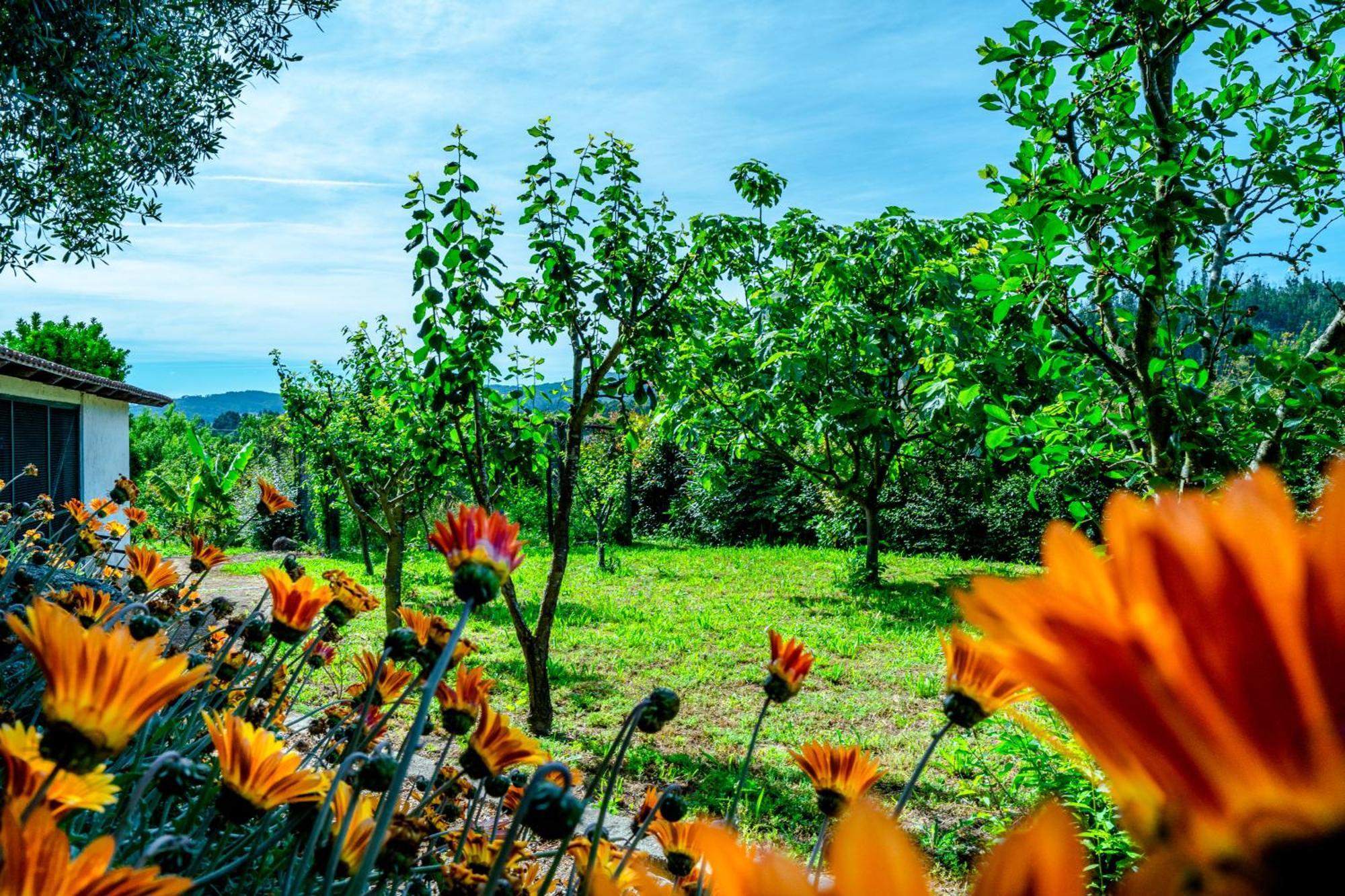 Vila Casa Da Guarda De Fora Paredes  Pokoj fotografie